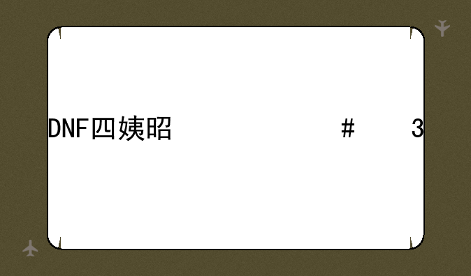 DNF四姨是什么职业