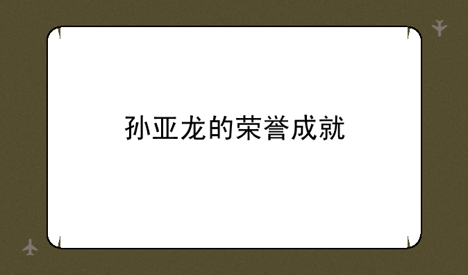 孙亚龙的荣誉成就