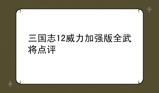 三国志12威力加强版全武将点评