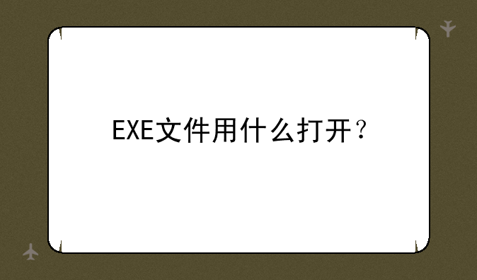 EXE文件用什么打开？