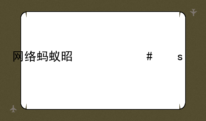 网络蚂蚁是什么东西