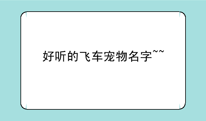 好听的飞车宠物名字~~