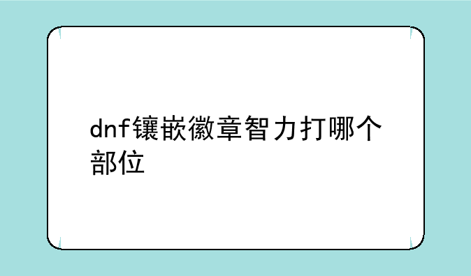 dnf镶嵌徽章智力打哪个部位