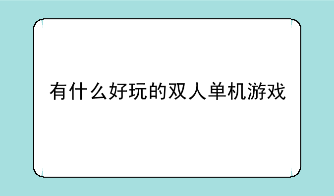 有什么好玩的双人单机游戏
