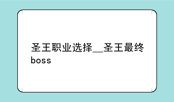 圣王职业选择__圣王最终boss